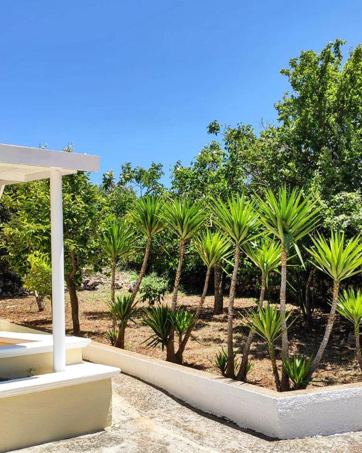 세글리에 메사피카 Casa Vacanze In Valle D'Itria 빌라 외부 사진